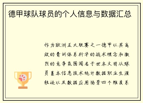 德甲球队球员的个人信息与数据汇总
