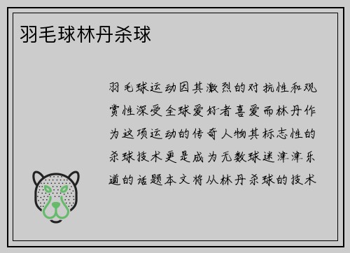 羽毛球林丹杀球